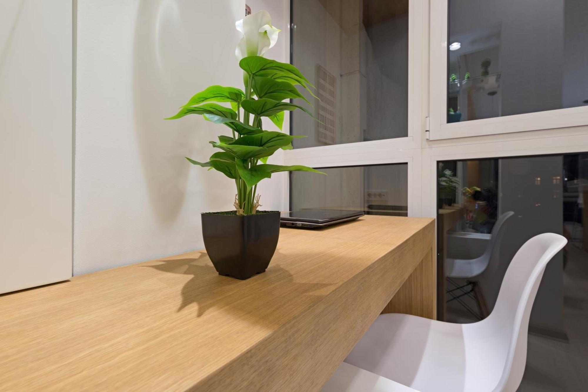 Vivio Luxury Apartment Beograd Eksteriør billede